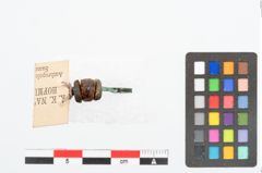 Foto von Bronzebogenfibel (NHMW-PRAE-025749)